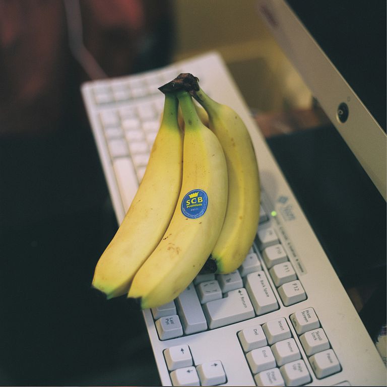 Une photo de bananes sur un clavier